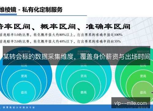 某转会标的数据采集维度，覆盖身价薪资与出场时间